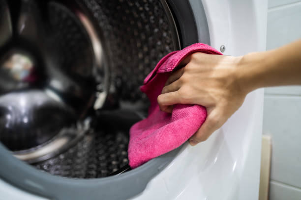 Reliable Los Gatos, CA Mold Removal Solutions